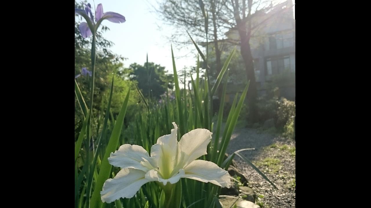 Stone House Homestay Yilan Exterior foto